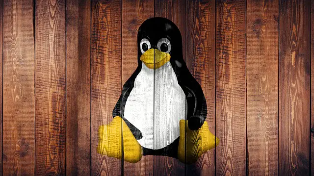 Linux 6.11