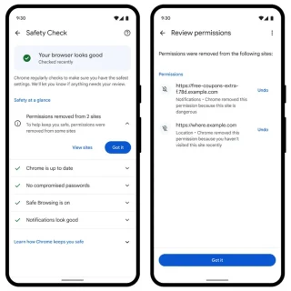 Chrome Safety Check