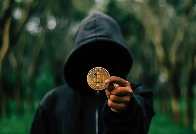 cryptocurrency fraudsters