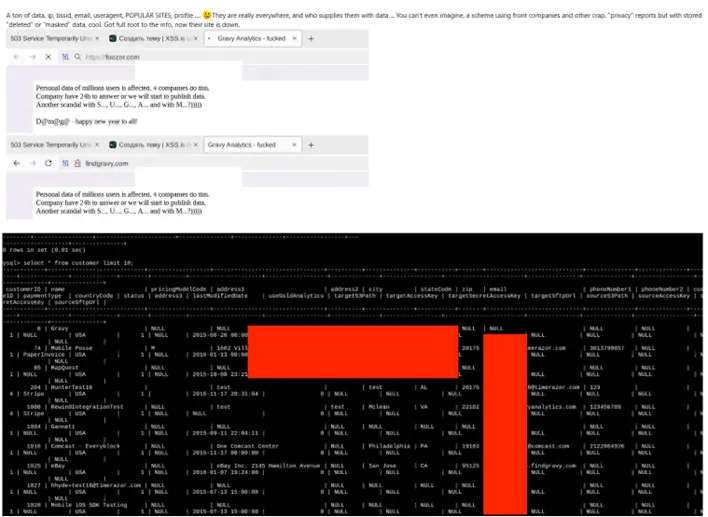 Gravy Analytics data