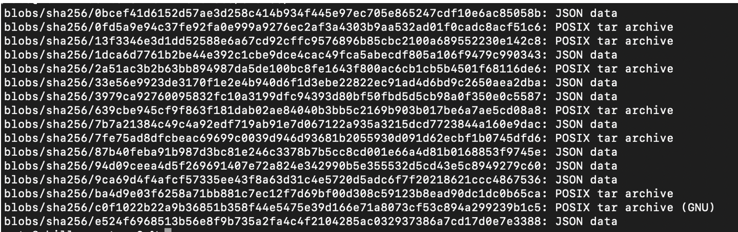 Output of the file command over the sha256 directory