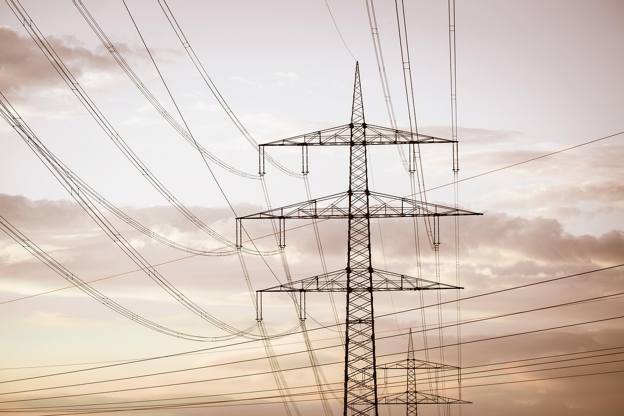 power outage, grid vulnerability