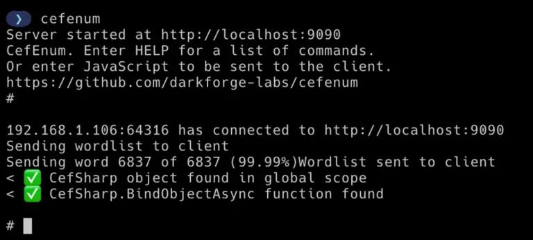 CefSharp vulnerability