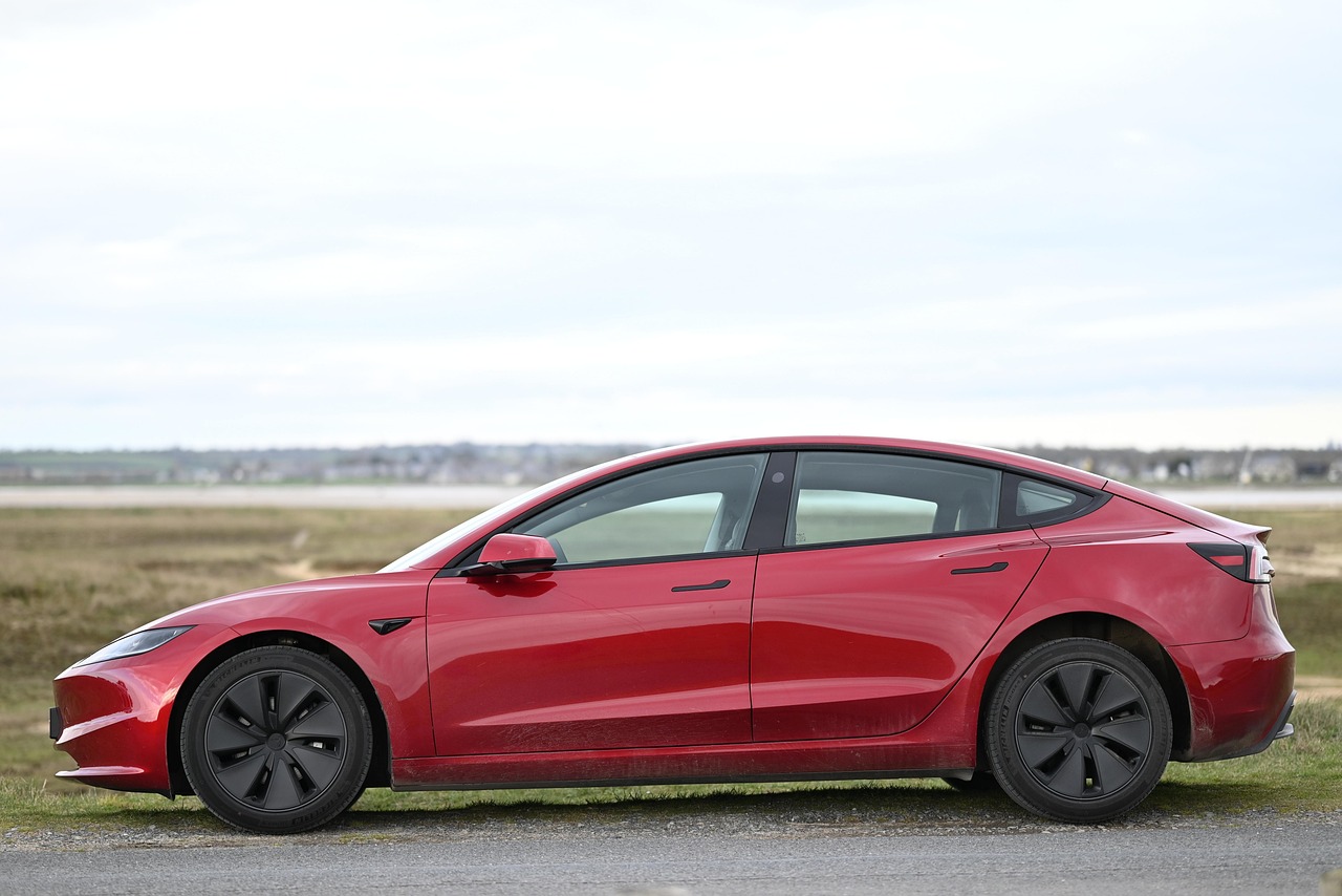 Tesla CEO