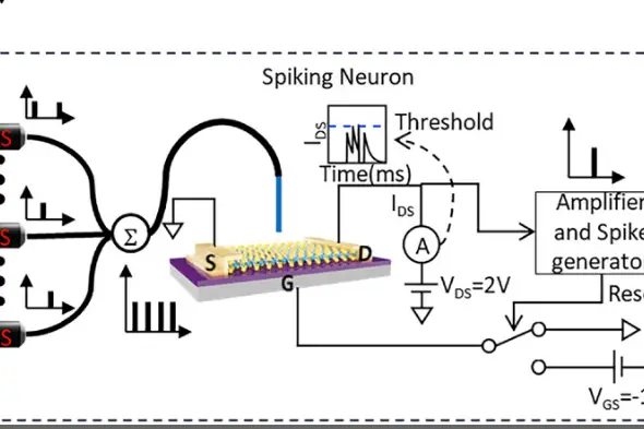 Neuromorphic device