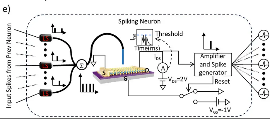 Neuromorphic device