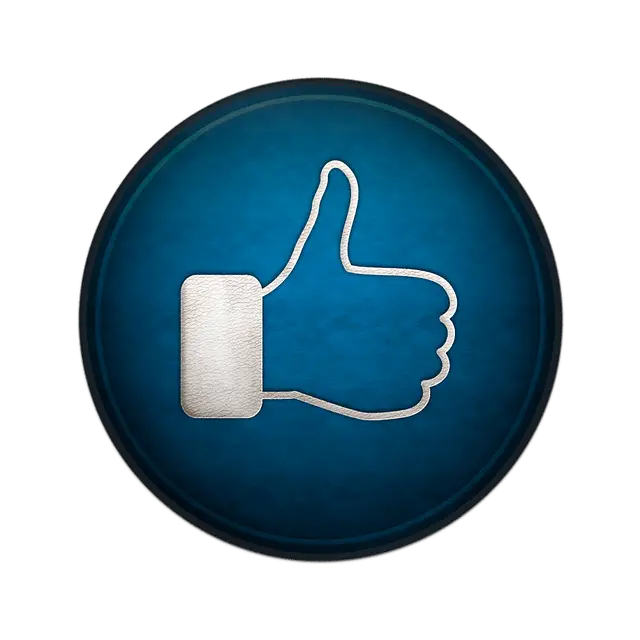 social media law