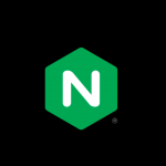 NGINX RIFT vulnerability patch