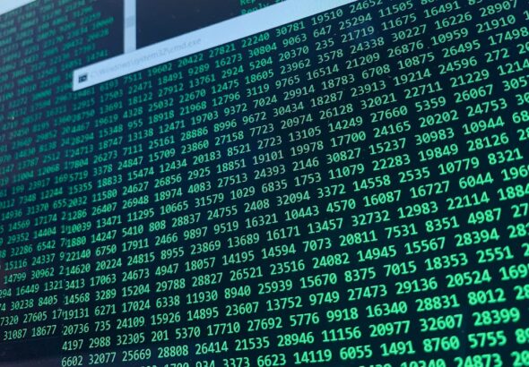 Dutch police botnet takedown
