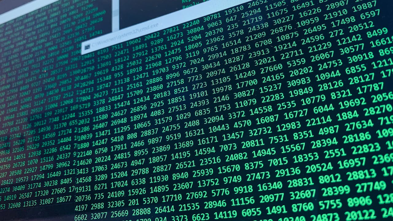 Dutch police botnet takedown