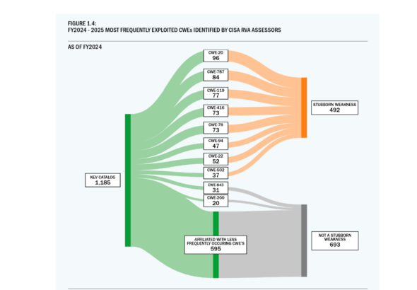 CISA vulnerability review dashboard showing known exploited vulnerabilities and persistent software weaknesses