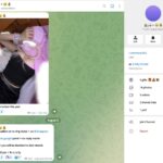 ZachXBT crypto seed phrase scam Tiffany Milanovic Trezor phishing $5 million stolen Bitcoin
